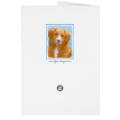 Nova Scotia Duck Tolling Retriever Dog Painting (Hinten)