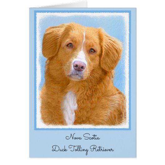 Nova Scotia Duck Tolling Retriever Dog Painting (Vorne)