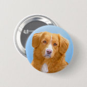 Nova Scotia Duck Tolling Retriever Dog Painting Button (Vorne & Hinten)