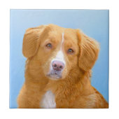 Nova Scotia Duck Tolling Retriever Dog Painting Fliese (Vorderseite)