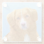 Nova Scotia Duck Tolling Retriever Dog Painting Glasuntersetzer (Rückseite)