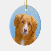 Nova Scotia Duck Tolling Retriever Dog Painting Keramik Ornament (Rechts)