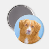 Nova Scotia Duck Tolling Retriever Dog Painting Magnet (Vorderseite/Rückseite)