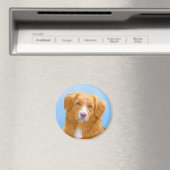 Nova Scotia Duck Tolling Retriever Dog Painting Magnet (In Situ (Geschirrspüler))