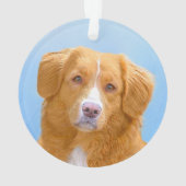 Nova Scotia Duck Tolling Retriever Dog Painting Ornament (Rückseite)