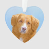 Nova Scotia Duck Tolling Retriever Dog Painting Ornament (Rückseite)