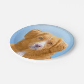 Nova Scotia Duck Tolling Retriever Dog Painting Pappteller (Schrägansicht)