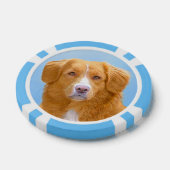 Nova Scotia Duck Tolling Retriever Dog Painting Pokerchips (Einzeln)