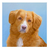 Nova Scotia Duck Tolling Retriever Dog Painting Poster (Vorderseite)