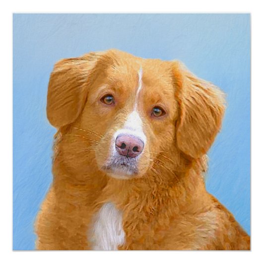 Nova Scotia Duck Tolling Retriever Dog Painting Poster (Vorderseite)