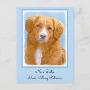 Nova Scotia Duck Tolling Retriever Dog Painting Postkarte