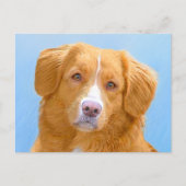 Nova Scotia Duck Tolling Retriever Dog Painting Postkarte (Vorderseite)