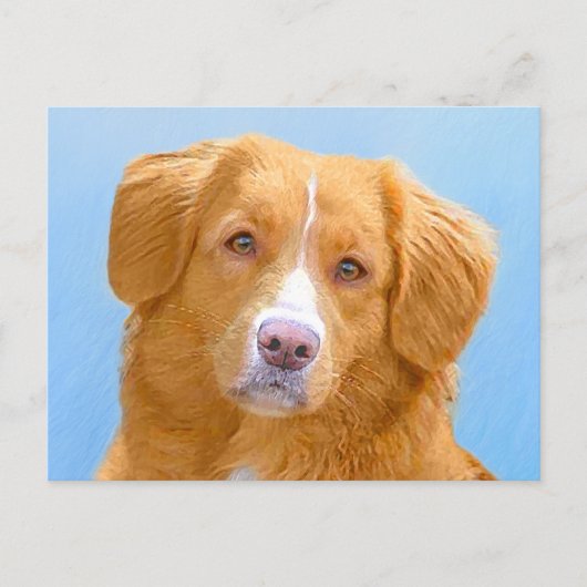 Nova Scotia Duck Tolling Retriever Dog Painting Postkarte (Vorderseite)