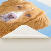 Nova Scotia Duck Tolling Retriever Dog Painting Sherpadecke (3/4)