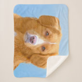 Nova Scotia Duck Tolling Retriever Dog Painting Sherpadecke (Vorderseite)