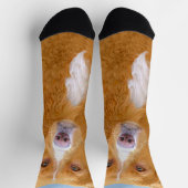 Nova Scotia Duck Tolling Retriever Dog Painting Socken (Oben)