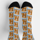 Nova Scotia Duck Tolling Retriever Dog Painting Socken (Oben)