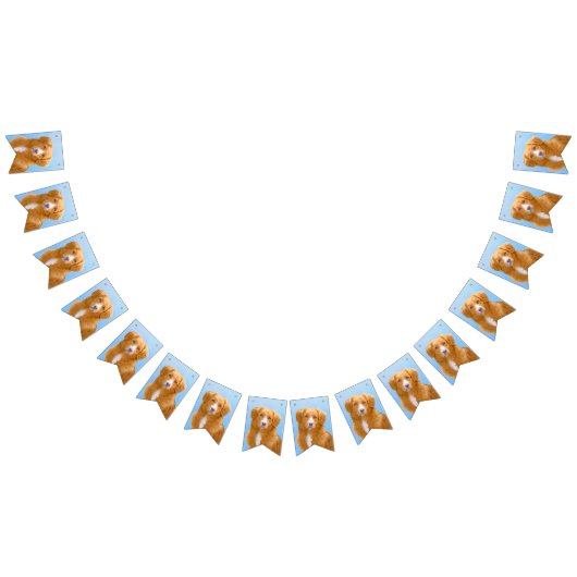 Nova Scotia Duck Tolling Retriever Dog Painting Wimpelkette (Alle)