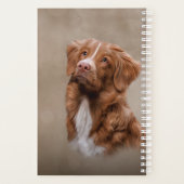 Nova Scotia Duck Tolling Retriever dog Planer (Rückseite)