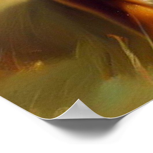 Nova Scotia Duck-Tolling Retriever Dog Poster (Ecke)