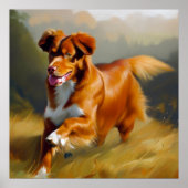 Nova Scotia Duck-Tolling Retriever Dog Poster (Vorne)