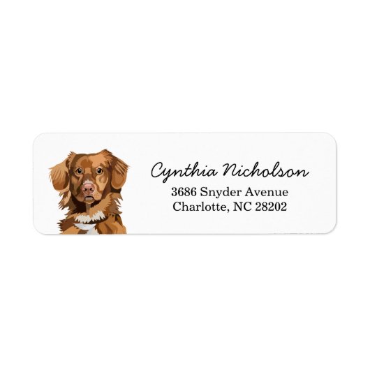 Nova Scotia Duck Tolling Retriever Dose (Vorne)