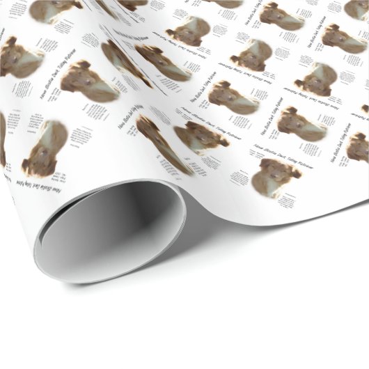 Nova Scotia Duck Tolling Retriever History Design Geschenkpapier (Rolleneckpunkt)