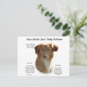 Nova Scotia Duck Tolling Retriever History Design Postkarte (Stehend Vorderseite)