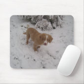 Nova_Scotia_Duck-Tolling_Retriever im Schnee Mousepad (Mit Mouse)