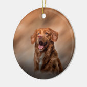 Nova Scotia Duck Tolling Retriever Keramik Ornament (Links)