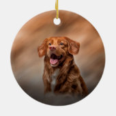 Nova Scotia Duck Tolling Retriever Keramik Ornament (Hinten)