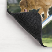 nova scotia duck tolling retriever mousepad (Ecke)