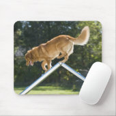 nova scotia duck tolling retriever mousepad (Mit Mouse)