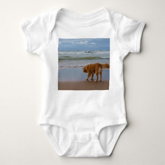 Nova Scotia Duck Tolling Retriever Ocean vorsichti Baby Strampler (Vorderseite)