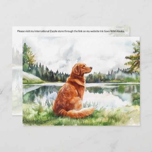 Nova Scotia Duck Tolling Retriever - Postcard Postkarte (Vorne/Hinten)