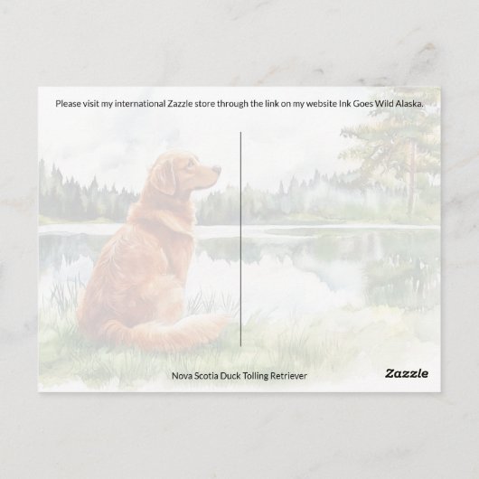 Nova Scotia Duck Tolling Retriever - Postcard Postkarte (Rückseite)