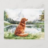 Nova Scotia Duck Tolling Retriever - Postcard Postkarte (Vorderseite)