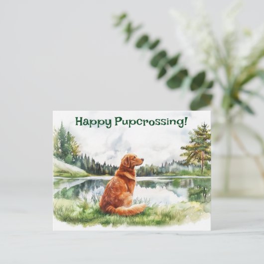 Nova Scotia Duck Tolling Retriever Postcross Postkarte (Stehend Vorderseite)