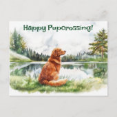 Nova Scotia Duck Tolling Retriever Postcross Postkarte (Vorderseite)
