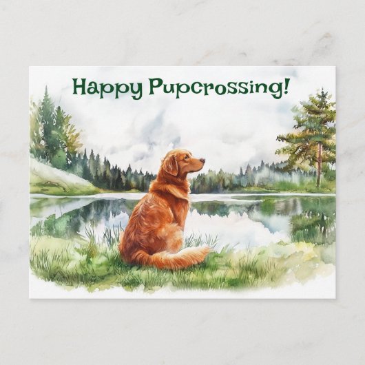 Nova Scotia Duck Tolling Retriever Postcross Postkarte (Vorderseite)