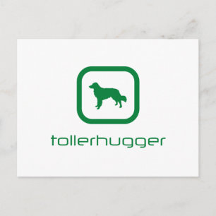 Nova Scotia Duck Tolling Retriever Postkarte