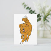 Nova Scotia Duck Tolling Retriever Postkarte (Stehend Vorderseite)