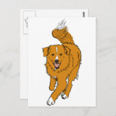 Nova Scotia Duck Tolling Retriever Postkarte (Vorne/Hinten)