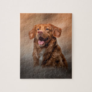 Nova Scotia Duck Tolling Retriever Puzzle