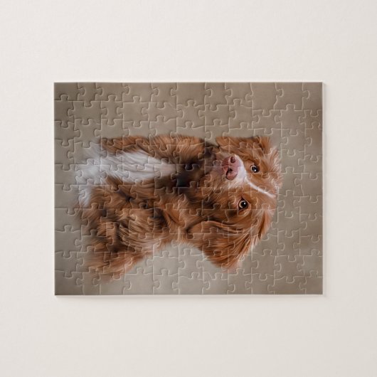 Nova Scotia Duck Tolling Retriever Puzzle (Horizontal)