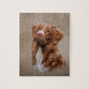 Nova Scotia Duck Tolling Retriever Puzzle