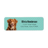 Nova Scotia Duck Tolling Retriever Return Labels (Vorne)