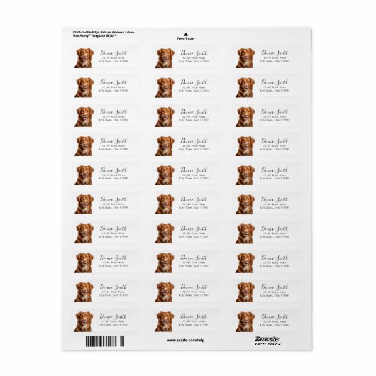 Nova Scotia Duck Tolling Retriever Return Labels (Vorne)