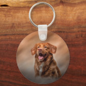 Nova Scotia Duck Tolling Retriever Schlüsselanhänger (Vorderseite)