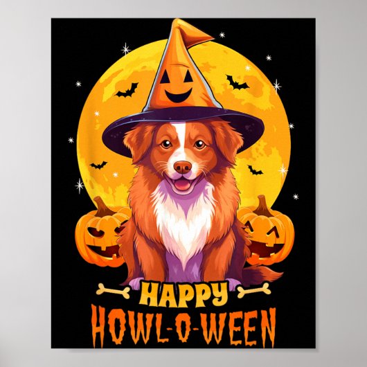 Nova Scotia Duck Tolling Retriever Toller Poster (Vorne)